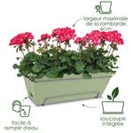 barcelona allin1 50cm jaune miel